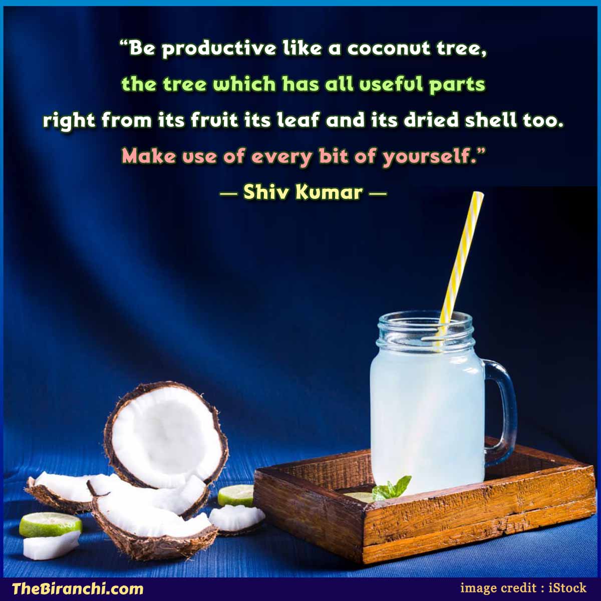 be-productive-like-a-coconut-tree-shiv-kumar-coconut-day-quotes-wishes-greetings-messages