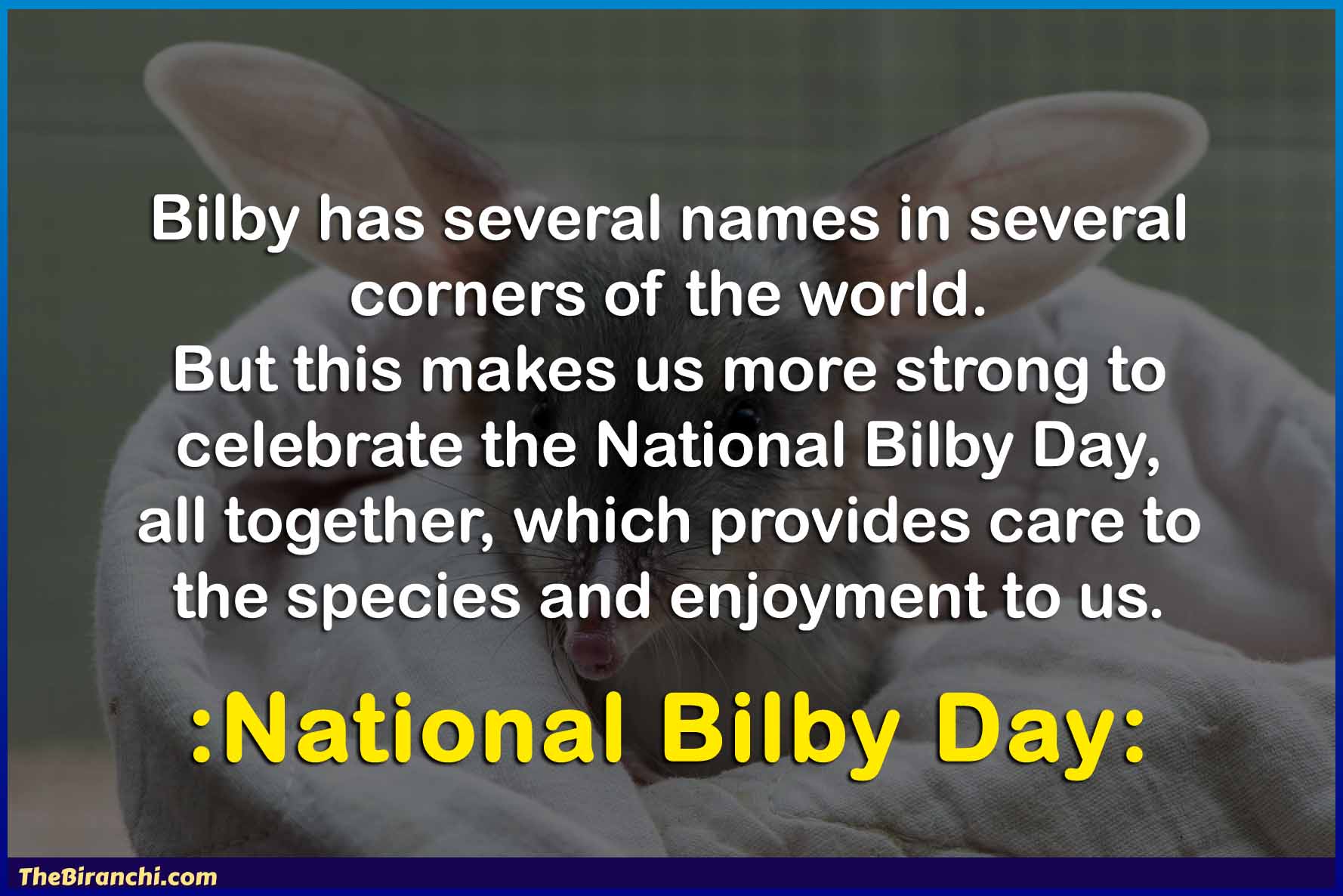 Bilby-Day-Messages-Greetings-Australian-Holiday-National-Bilby-Day