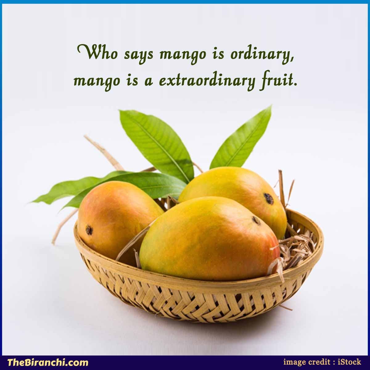 funny-mango-quotes-thoughts-mango-is-a-extraordinary-fruit